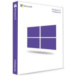 Windows 10 Pro OEM Key